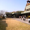 ラジオ体操　作業着畳み、緩衝材など　サンシュが満開