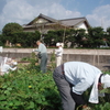 明日は、ふれあい広場