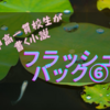 フラッシュバック第六話【公立中高一貫校生が書く小説】