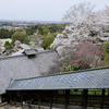 2022.4　奈良日帰り旅行　その１【奈良・奈良町　ランチ編】