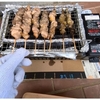 外国産の鶏モモ肉でも絶品になってしまう焼き鳥を簡単に作る方法