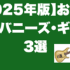 【2025年版】お勧めアイバニーズ・ギター3選｜エレキ・ギター