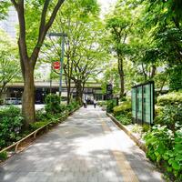 商用利用OKな無料画像RSS