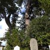 冬歌　寂蓮　海辺歳暮　末の松山