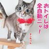 癒やしの代償