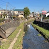 新河岸川を上流から歩く その２ 一級河川起点から不老川合流まで