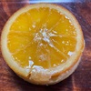 お薦めのオレンジケーキ🍊