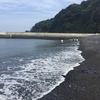 夏の思い出は、初めての海でした。