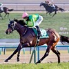 【日本ダービー2025】武豊サトノシャイニング大外8枠18番