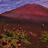 富士山の画像、アップできずと書いたが２枚アップできた。