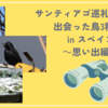 サンティアゴ巡礼を歩いて出会った鳥３種＋α　in  スペイン　～思い出編～