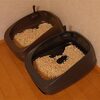 トムさんのトイレがちょっとゴージャスになった件 →ダメでした