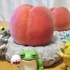 今年最後の桃はゆめかおり