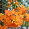 百合が原公園散歩はまだ寒かった