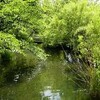東向島（旧玉ノ井）を歩く（5月31日）