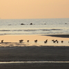 瀬戸内海・燧灘・西讃岐・花稲海岸の夕景色