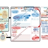 地球をごきげんに！起業家  Activity「調和・進化・成長」プロセス体系シート活用方法