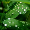 天気が悪くていかんなぁ