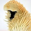 閨秀2.0、会場のようす_森文惠さん