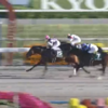 １１月３日公開予想・結果　～みやこＳ穴推奨馬が複勝４５０円