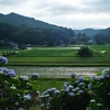 早朝は涼しい？