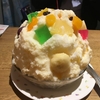 2018 GW コスタネオロマンチカ(11) 寄港地情報　鹿児島
