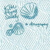 a discography /KITE FLYING SOCIETY