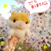 みんなどうしてそんなに頑張れるの？