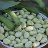 うっそー、食べたぁぁあああ？（で、妹は思う）