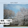 【521話・Leica】JPEG設定「標準」で撮る横浜根岸森林公園の桜