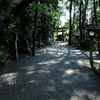 大神神社写真館(４/１２)