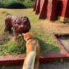 公園に居る動物たち（石像編）