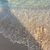 夏のはじまりと海。スペインの夏至｜バルセロナに魅せられて。vol.103