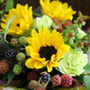 DAILY FLOWERS!!