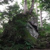 【登頂編】7月20日　東北最高峰「燧ヶ岳」登山