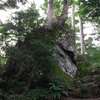 【登頂編】7月20日　東北最高峰「燧ヶ岳」登山