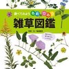 調べてみよう名前のひみつ雑草図鑑