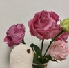 穴から脱出しました