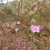 佐波の里山・きずなの森へ