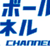 明日決勝!!　「第100回全国高校野球選手権記念大会」