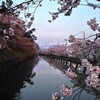 雪と桜とお酒と温泉のスキー旅（２）