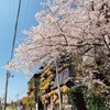 ほぼ植物園！？最近勢いのある園芸店 大阪茨木市のthe Farm（ザファーム）さん