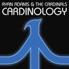 ryan adams / Cardinology