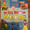 DWEフルセット購入の特典My Big Book of Words