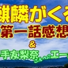 『 麒麟がくる 』第一話感想【エンタメ】欅坂46平手友梨奈さん脱退