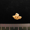 今週もナゲットが