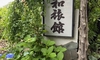 今週のお弁当と朝ごはんと鶴巻温泉1泊旅行