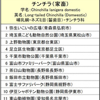 ヤマビスカチャのいる動物園は 飼育展示動物園とヤマビスカチャ情報まとめ アリエスコム Ariescom