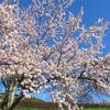 棚山登山！笛吹川フルーツ公園・ほったらかし温泉からの登山コース詳細！