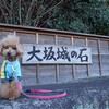 2024 新年初の小旅行は兵庫県で